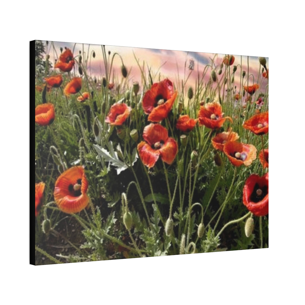 Whispers of the Poppy Meadow Canvas Stretched, 1.5''