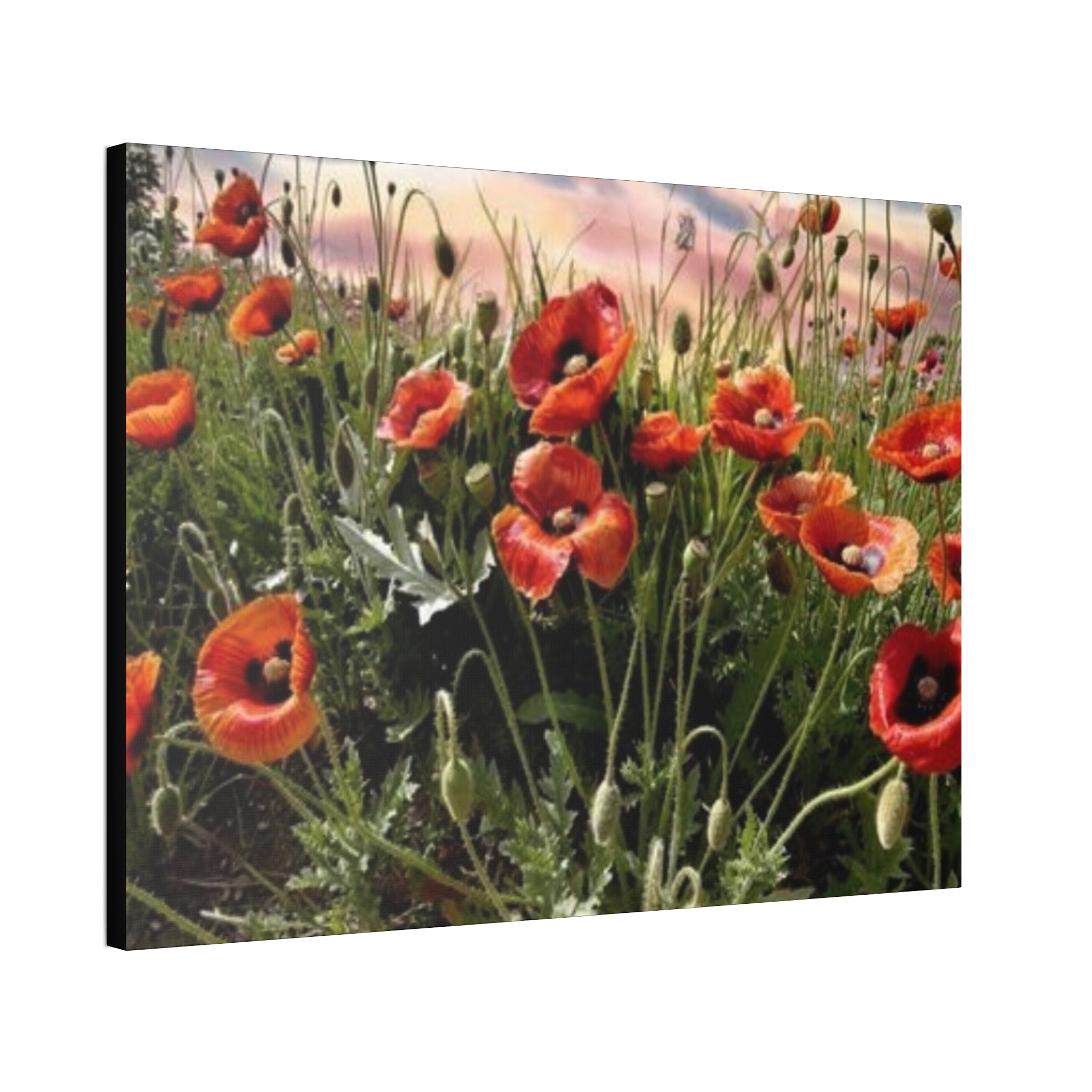 Whispers of the Poppy Meadow Canvas Stretched, 1.5''