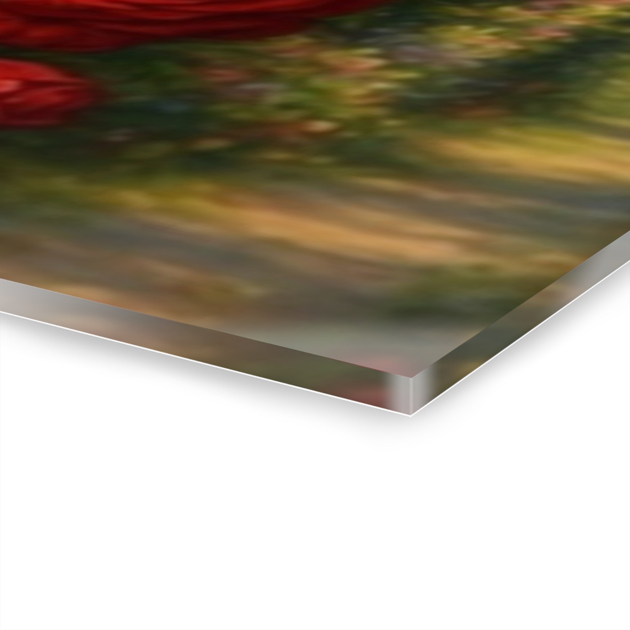 Acrylic Prints (French Cleat Hanging)