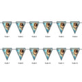 Party Triangle Flags