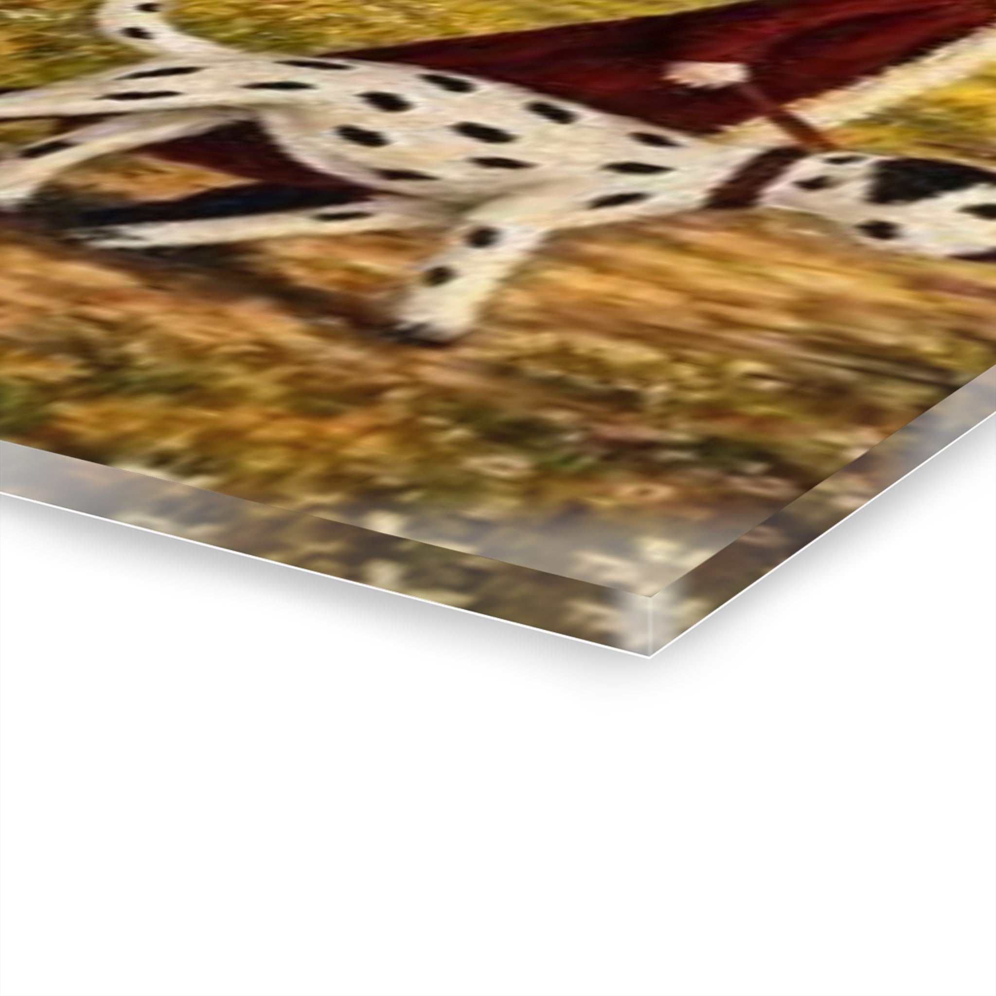 Acrylic Prints (French Cleat Hanging)
