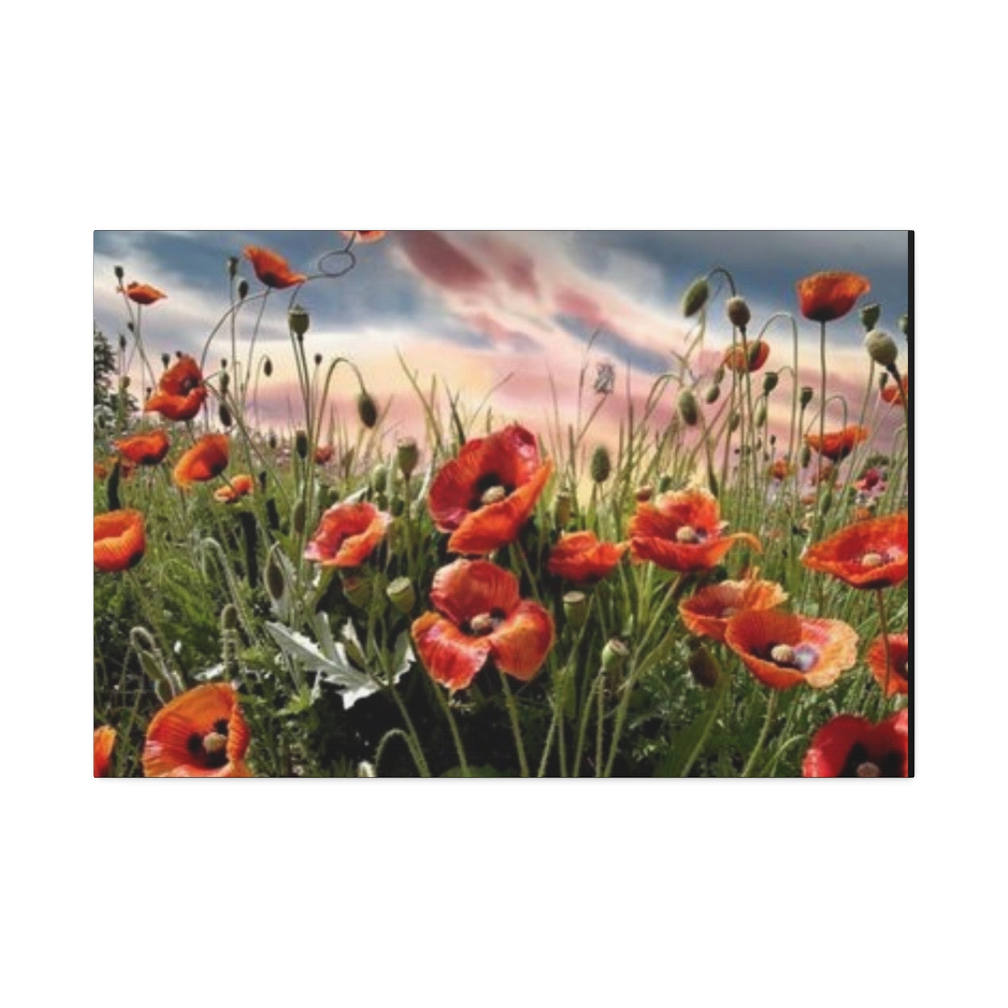 Whispers of the Poppy Meadow Canvas Stretched, 1.5''