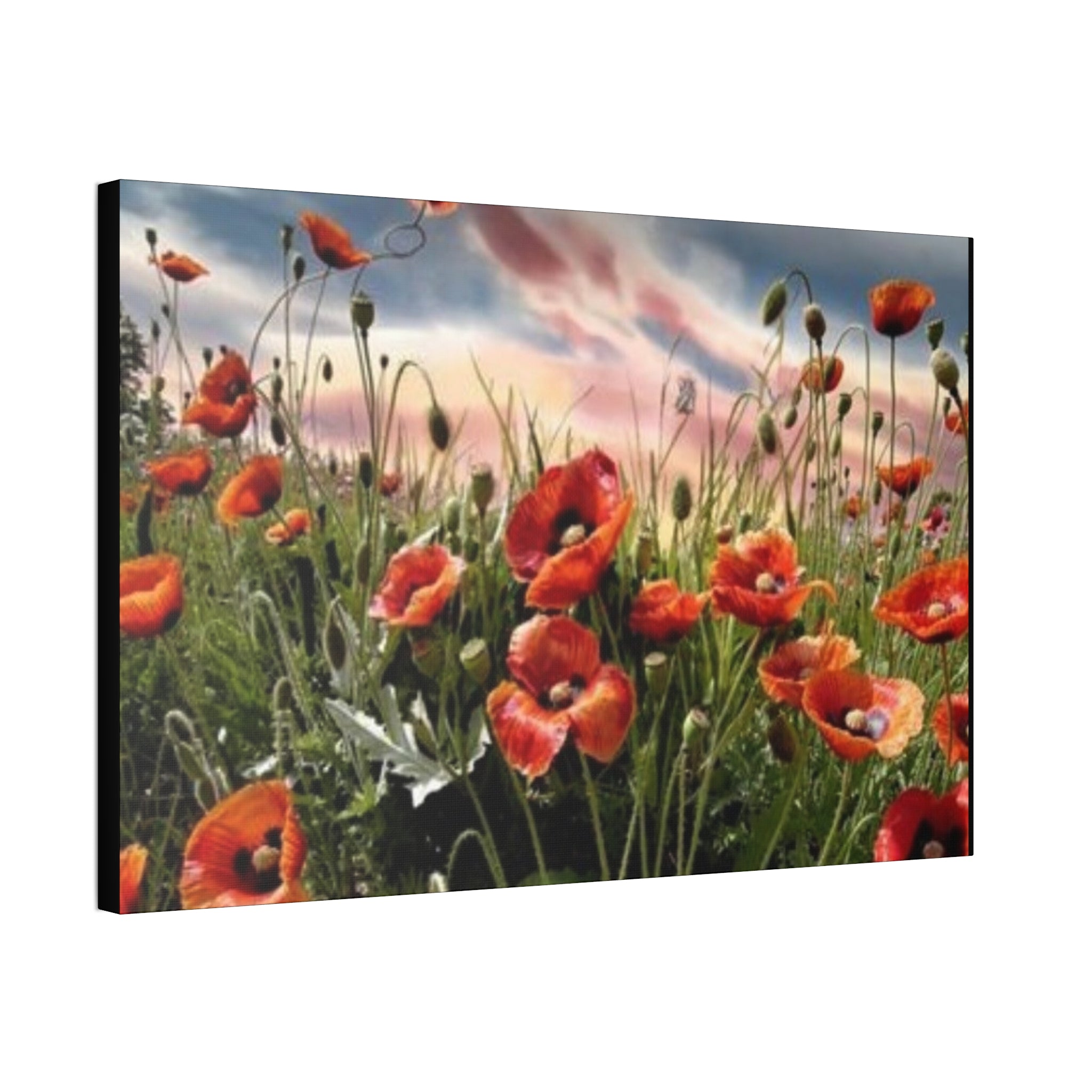 Whispers of the Poppy Meadow Canvas Stretched, 1.5''